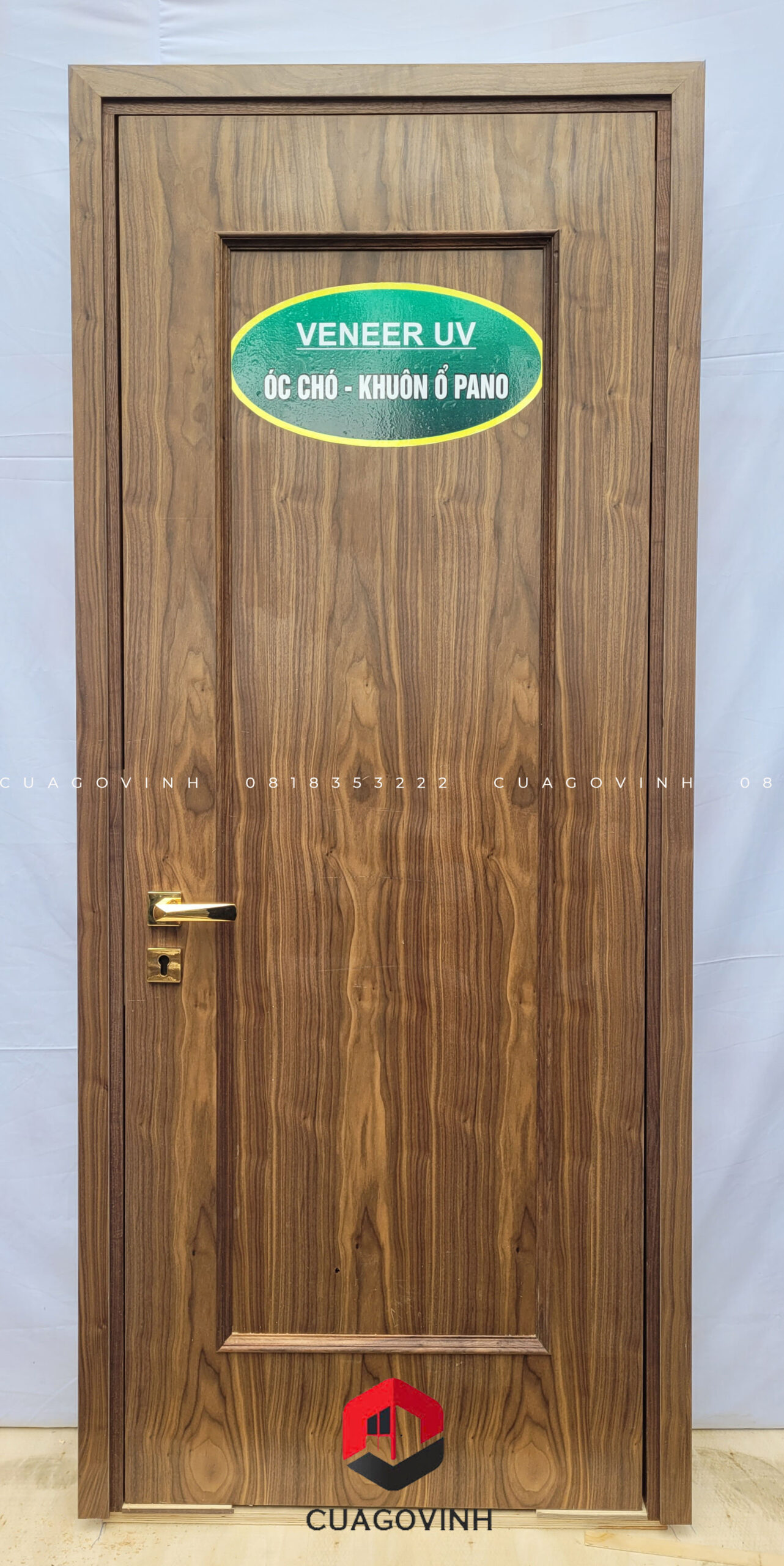 Cửa gỗ Plywood veneer Óc Chó PV1